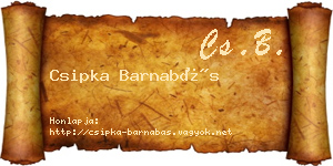 Csipka Barnabás névjegykártya