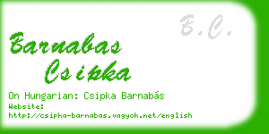 barnabas csipka business card